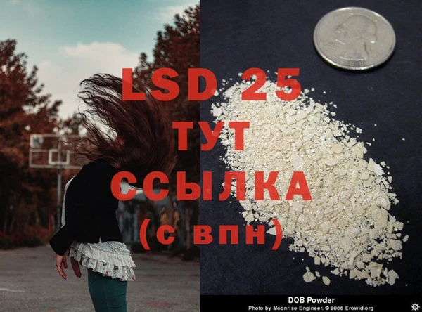 марки lsd Богородицк